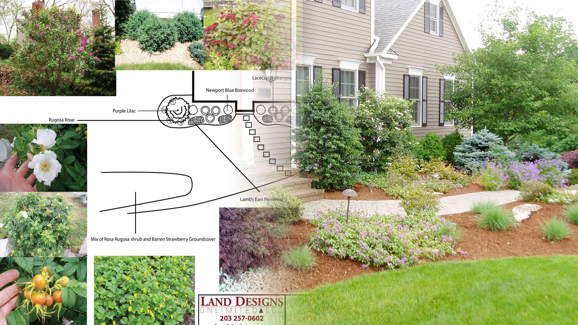 landscape design career