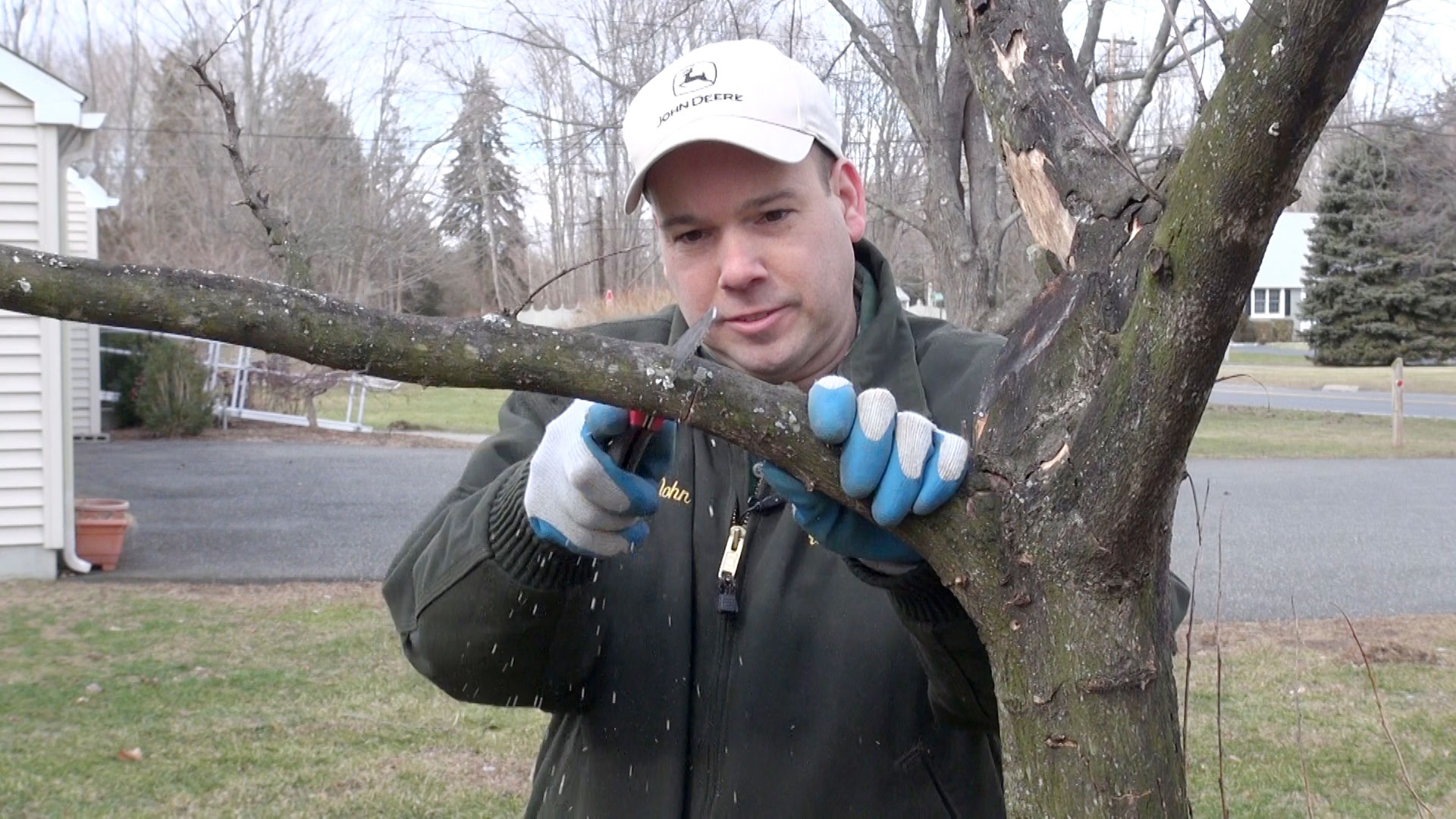 How to Prune Using the Three Cut Method