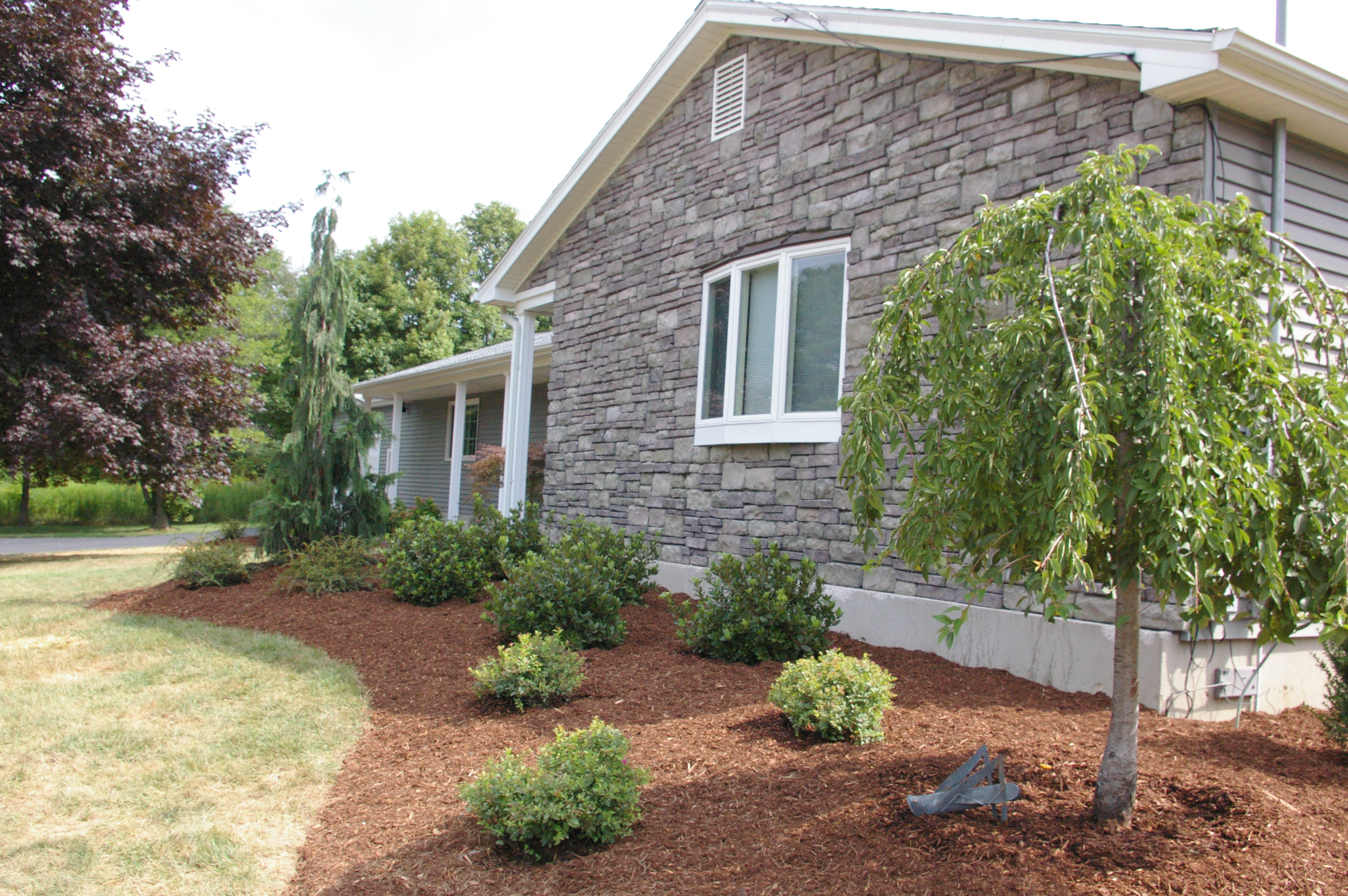 How to Care for Your New Landscape