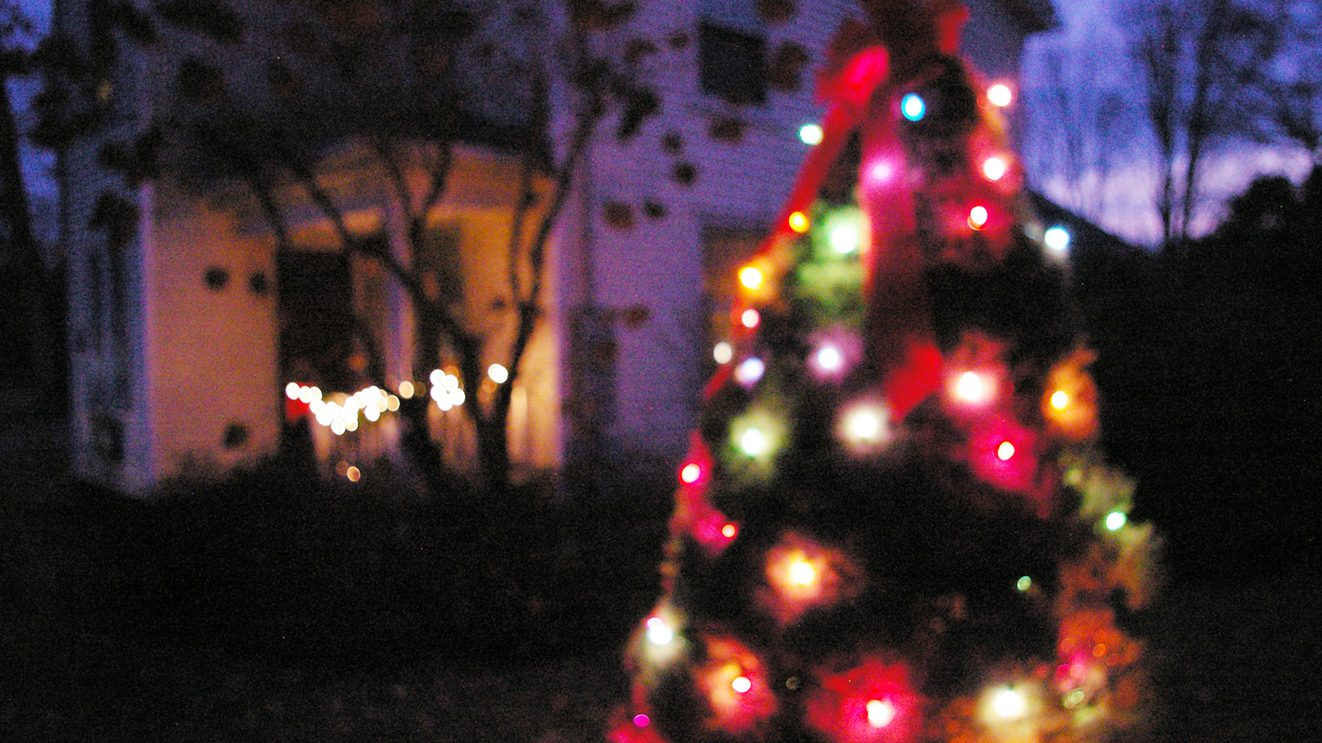 house with christmas lights