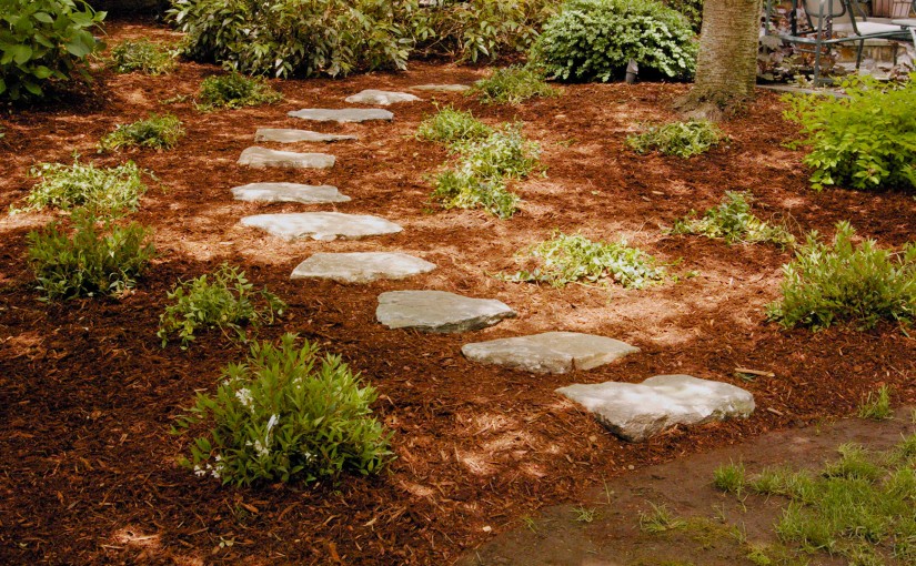 Winding Stepping Stone Garden Path