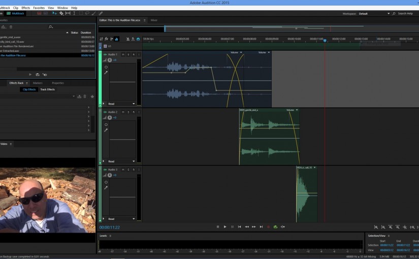 Adobe Audition Interface