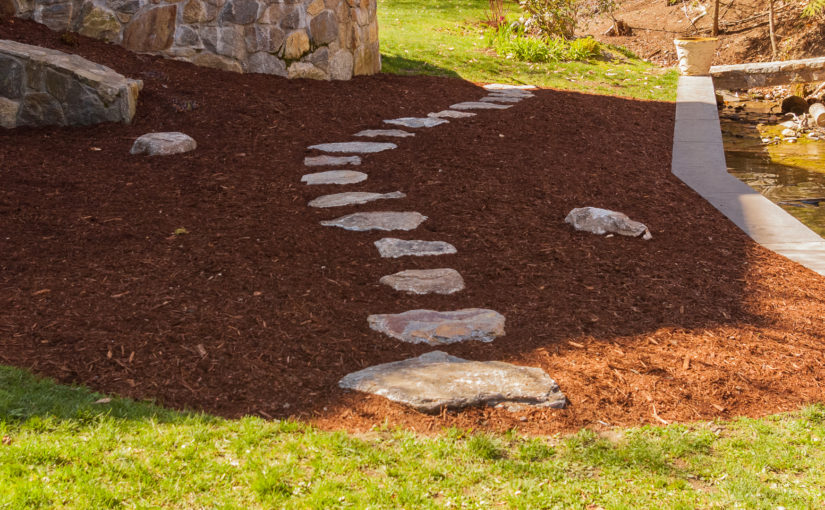 How to Create a Curved Stepping Stone Path
