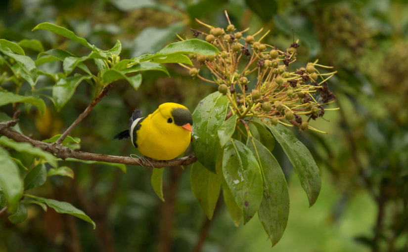 Fake Birds = Garden Interest