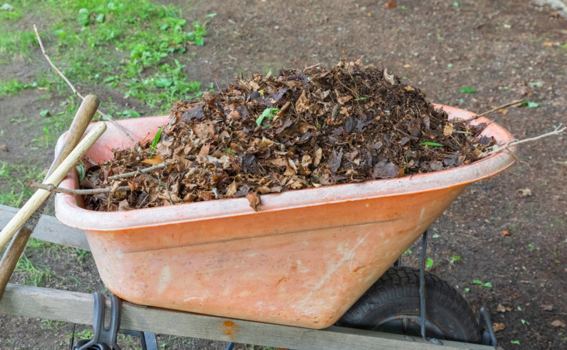 Finished Fall Cleanup Today Wheelbarrow of Future Compost