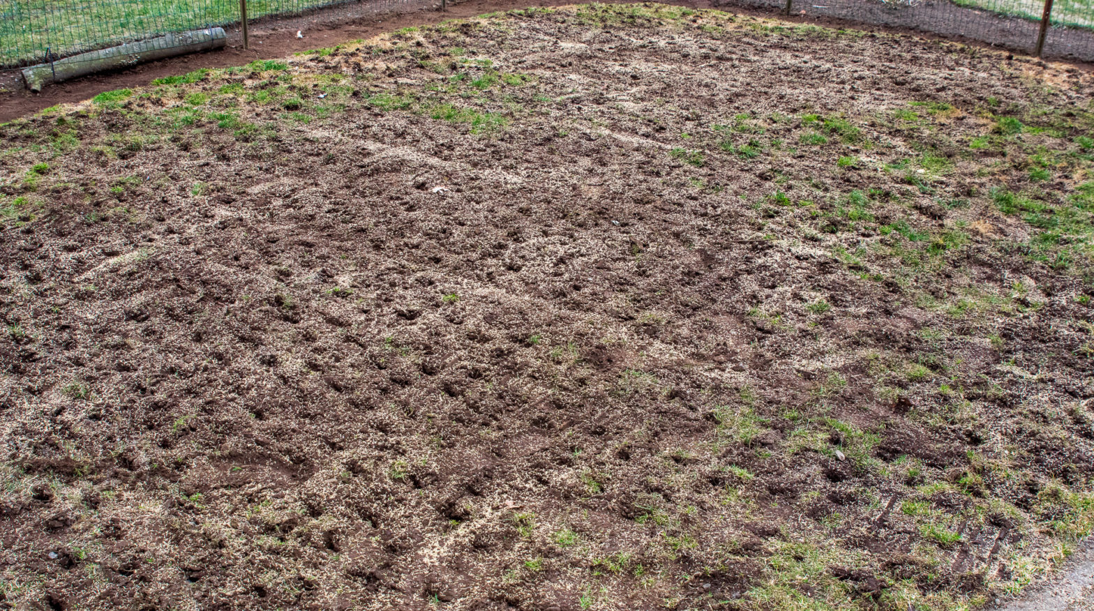 Aerated Lawn with Grass Seed