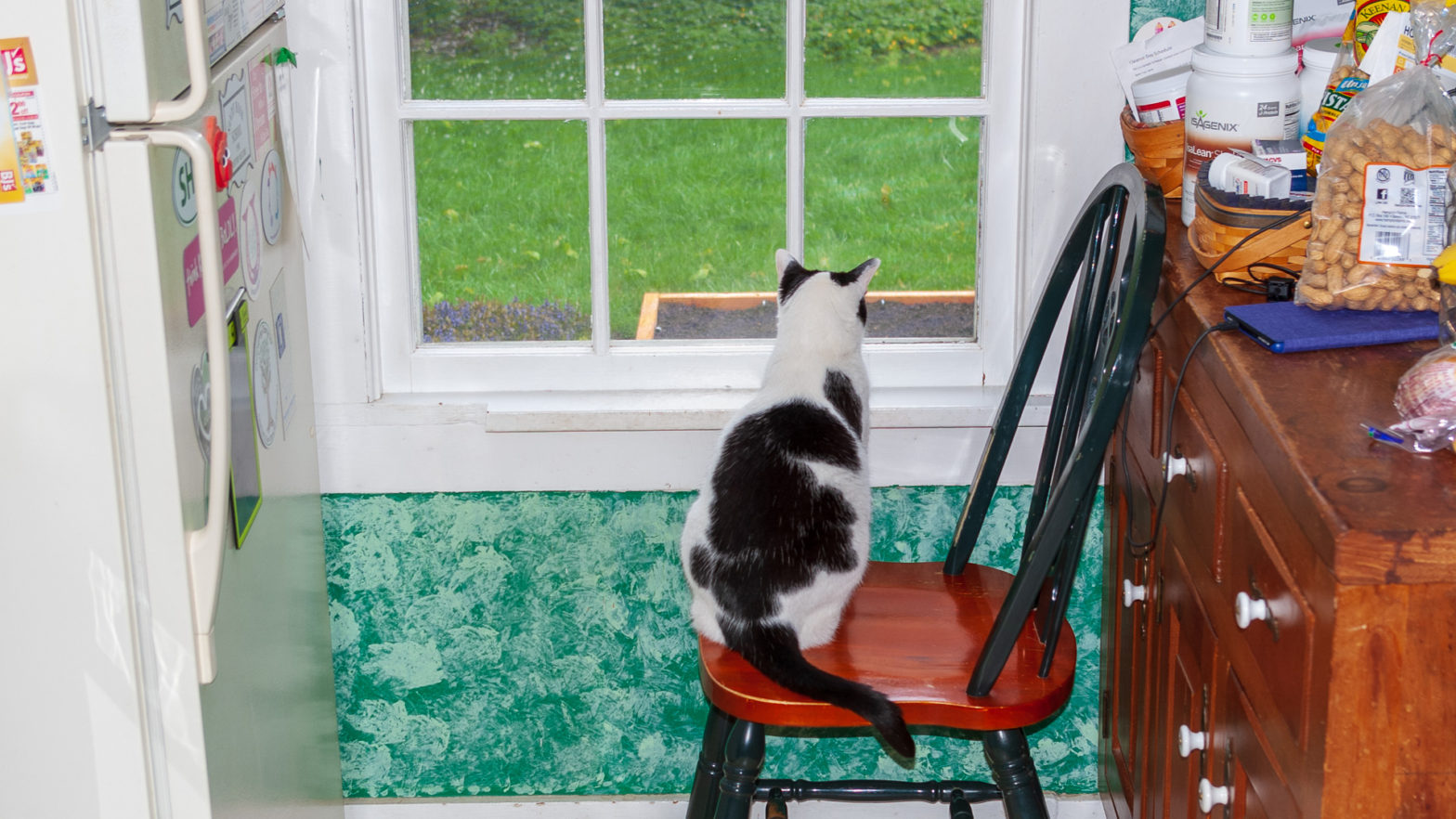 Minnie Looking Out Window