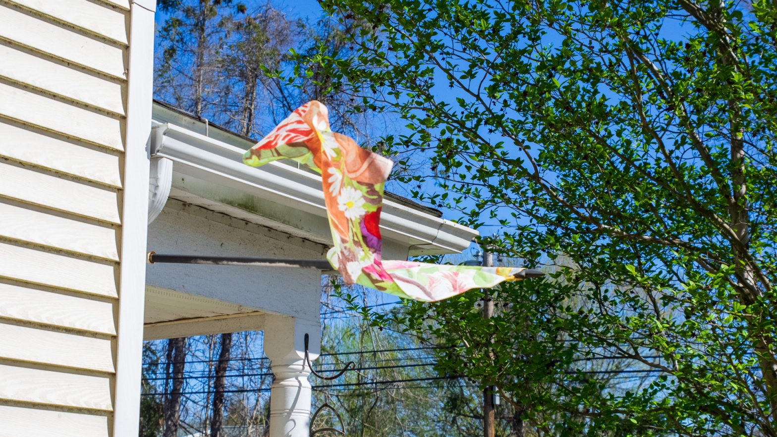 Ornamental Flag Waving in the Wind