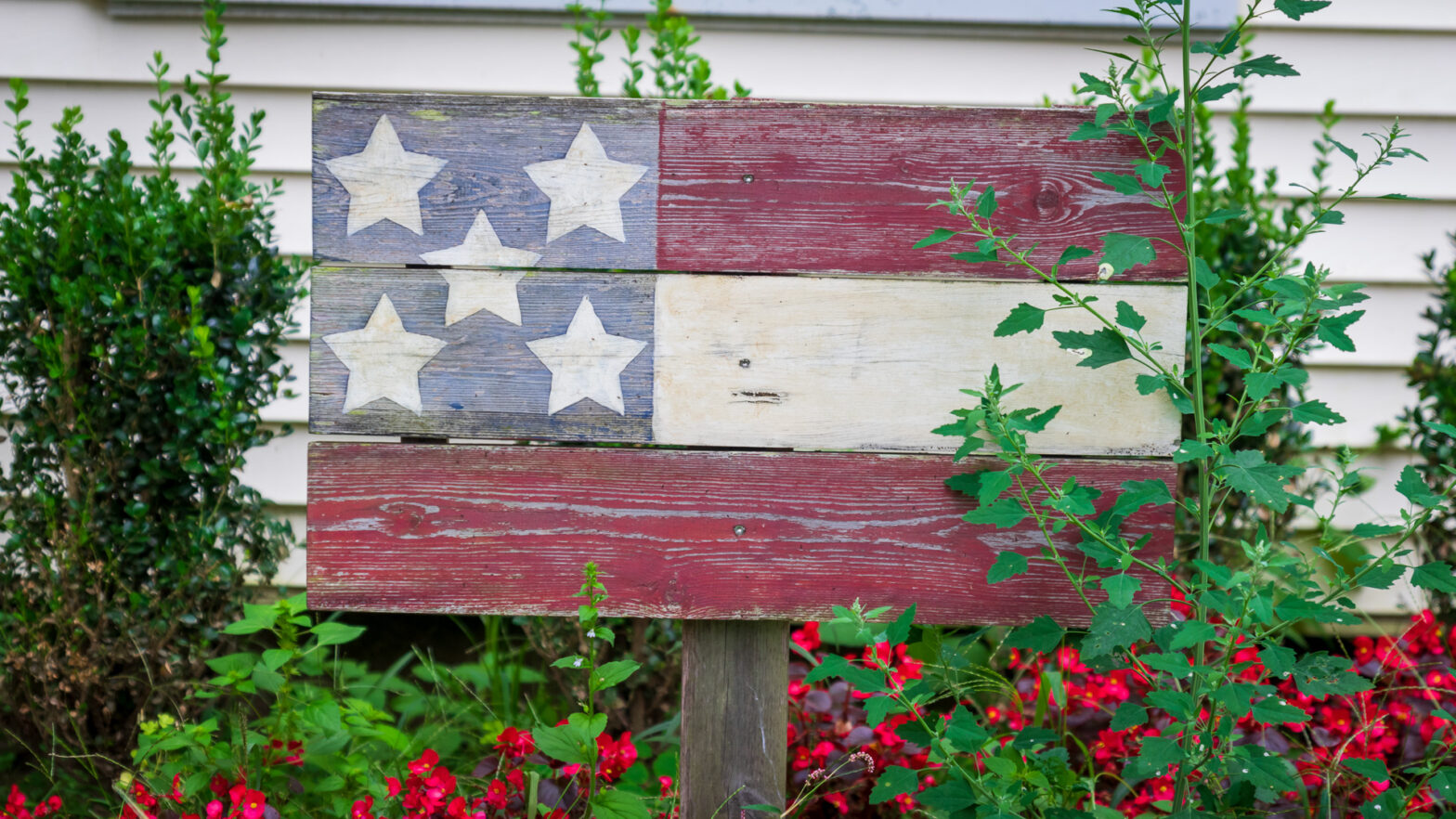 Patriotic Lambsquarters