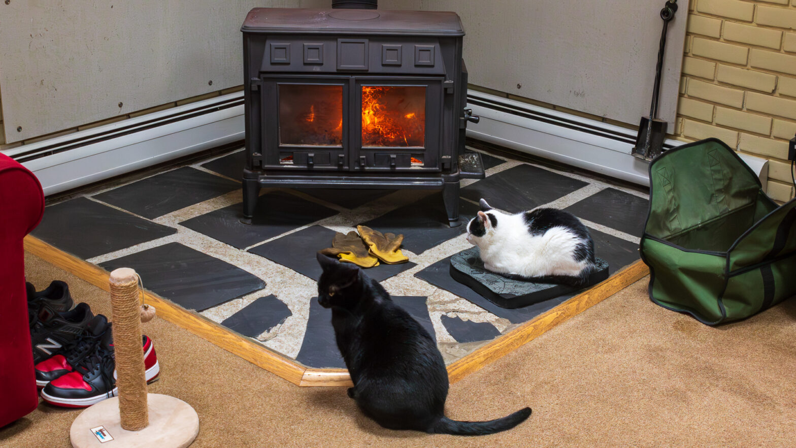 Cats in Front of Wood Stove